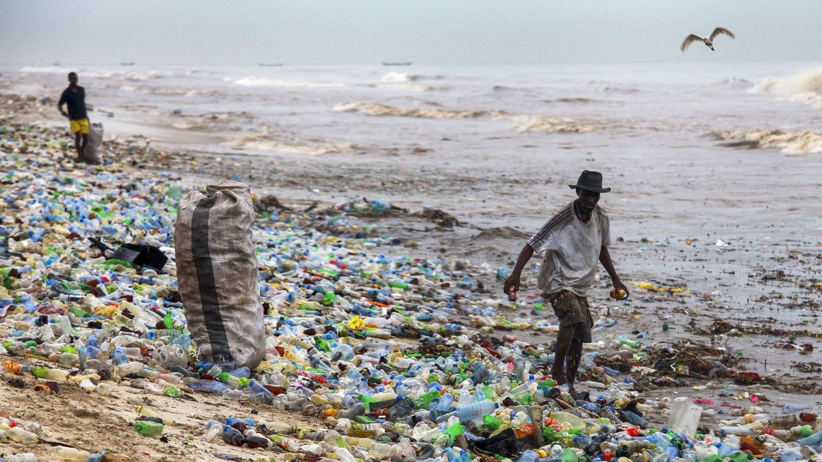 Mohos y algas: nuevas ideas para reciclar la basura que inunda el mundo