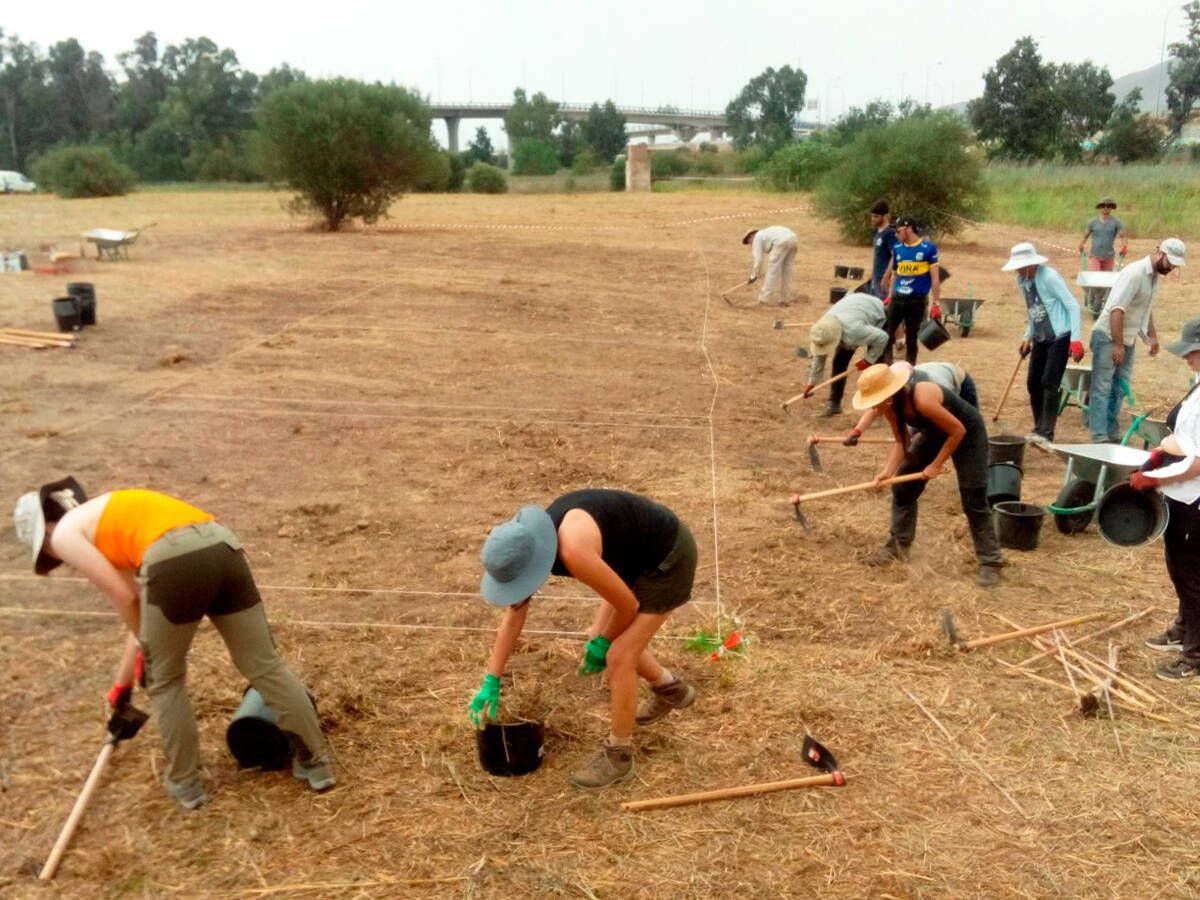 Foto: Investigadores y voluntarios, trabajando en el yacimiento arqueológico de Cerro del Villar. (P. D. A.)
