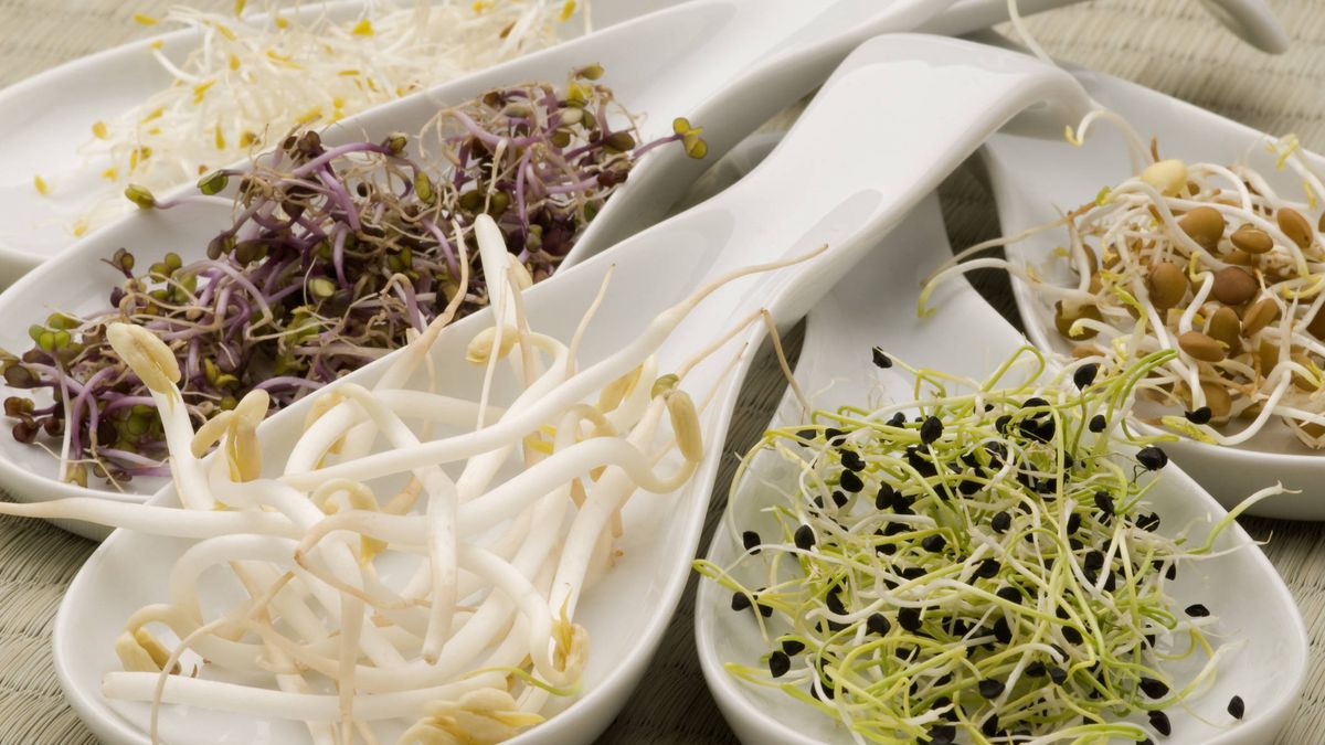 Germinados de cebolla: el valor nutricional y su uso en la cocina