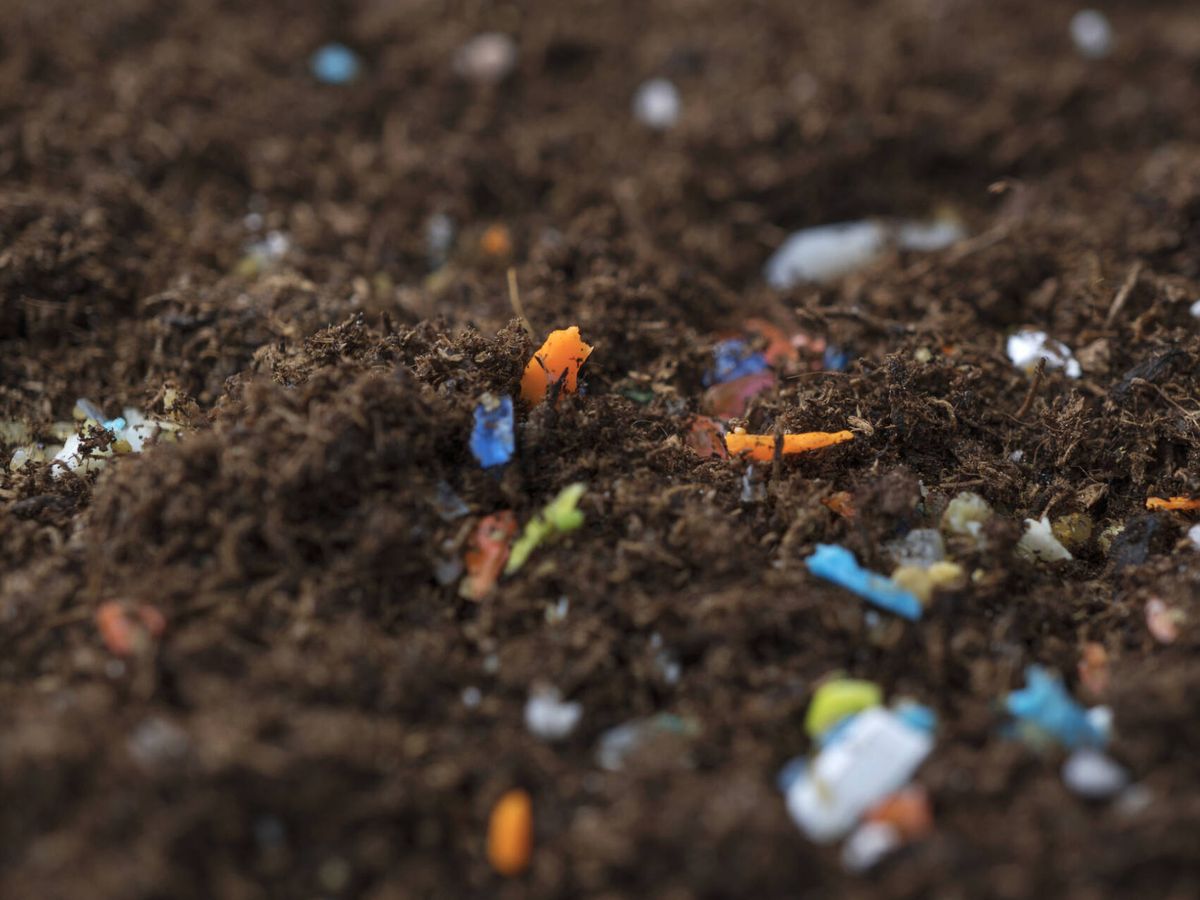 Foto: ¿Qué es un microplástico y cómo puede afectar a la salud? (iStock)