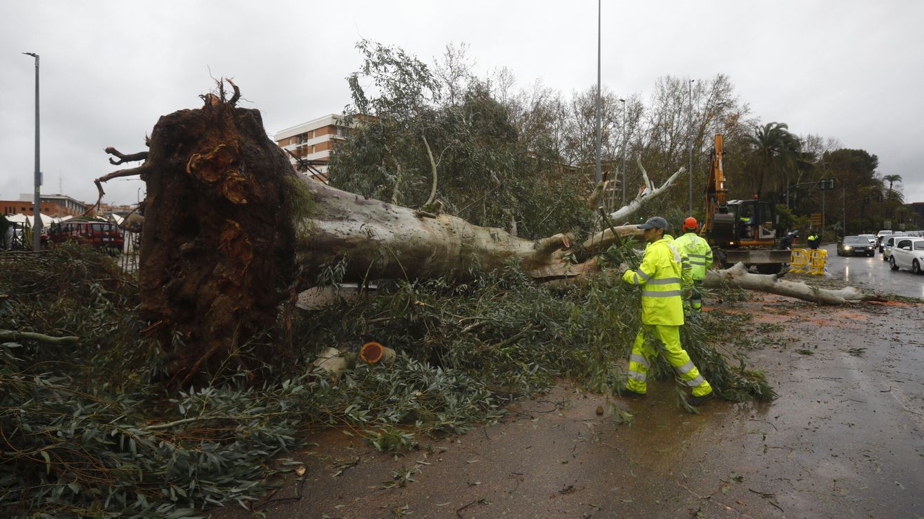 Foto: Temporal de lluvia, viento y nieve, en España: última hora de la borrasca Mónica, zonas más afectadas y carreteras cortadas (EFE / Salas)