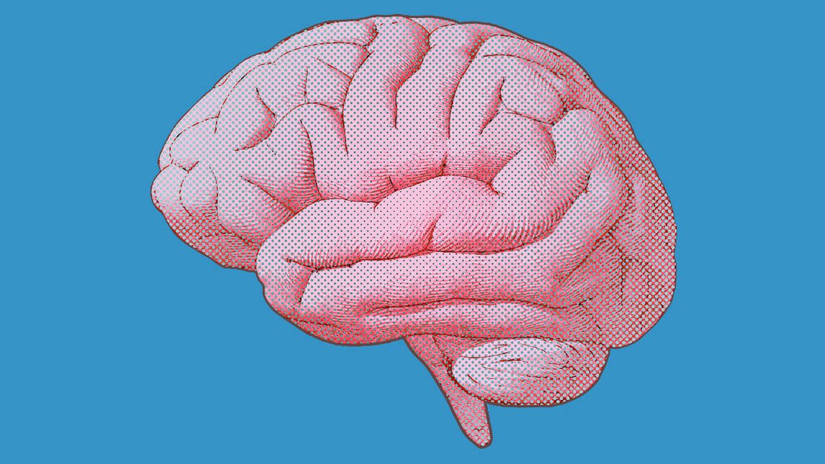 ¿Qué ocurre en nuestro cerebro cuando nos sorprenden? Un nuevo estudio lo explica