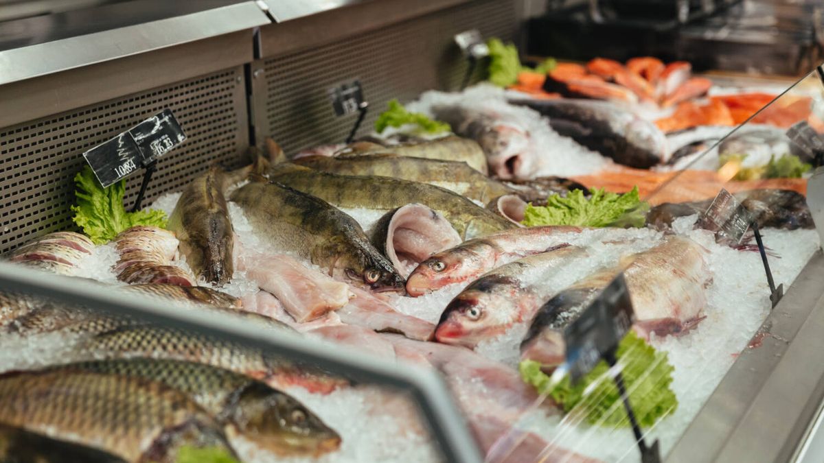 Este es el pescado que contiene más omega-3 que el salmón y que protege tu corazón