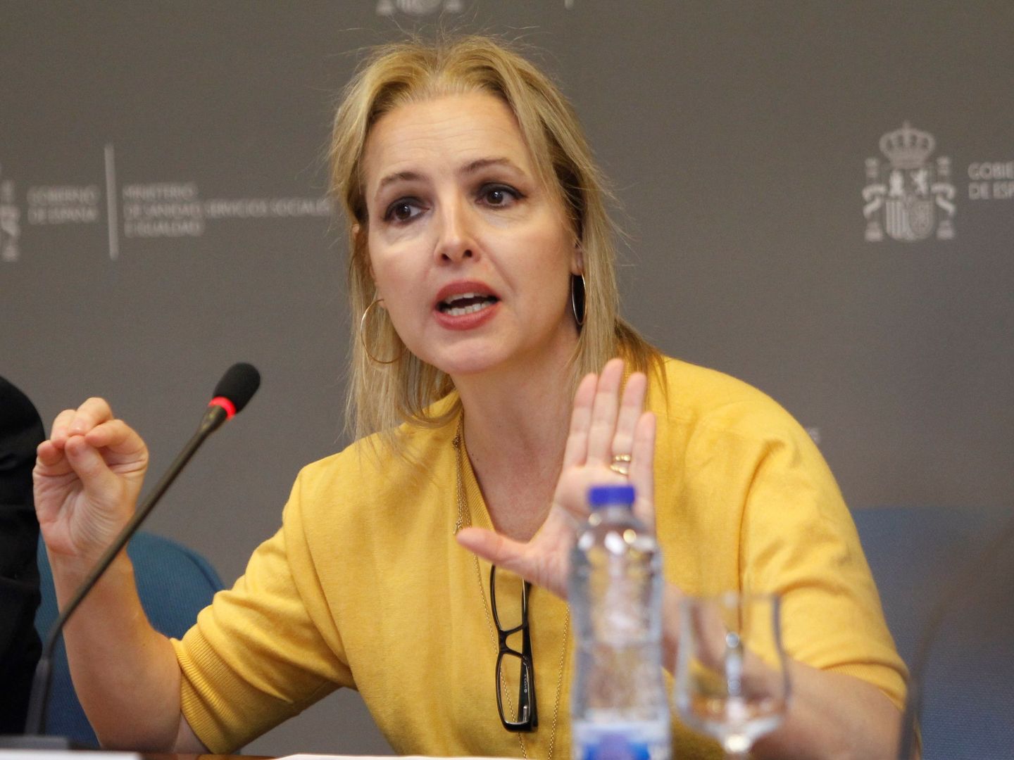 Beatriz Domínguez-Gil, presidenta de la ONT. (EFE)