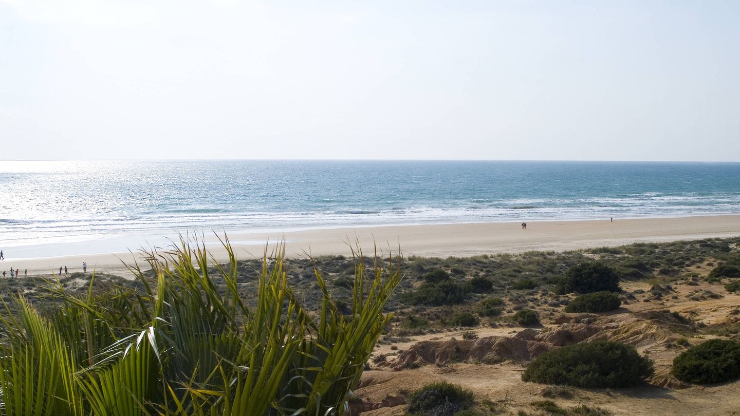 El paisaje de Cataria, la playa de la Barrosa