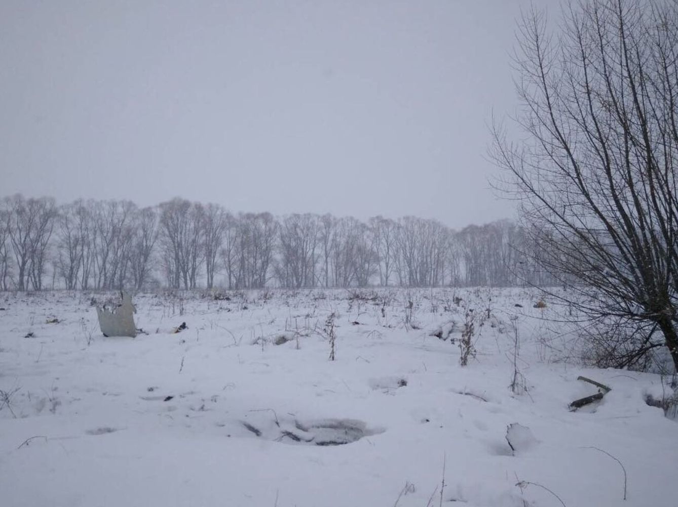 Vista del lugar donde se precipitó el  Antonov AN-148 en una localidad cercana a Moscú. (EFE)