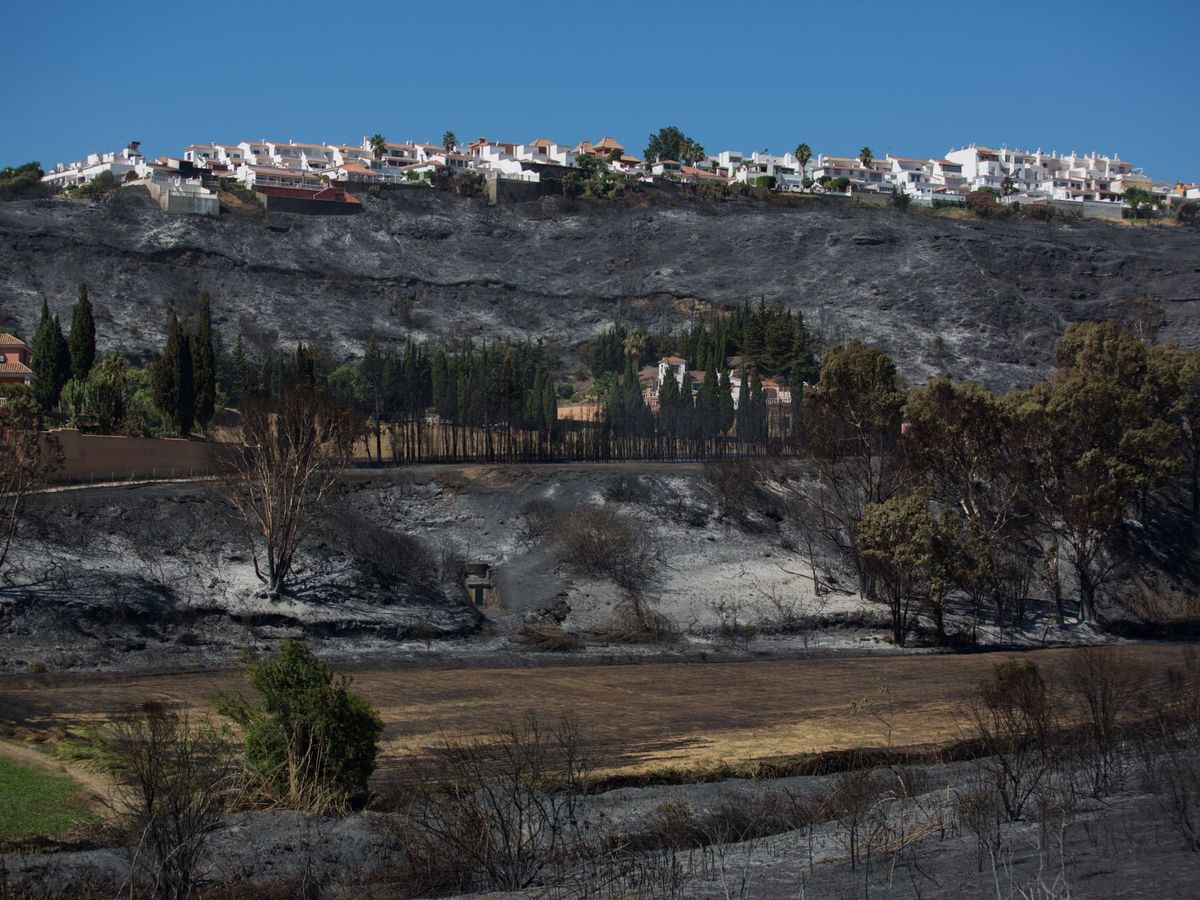 Foto: Foto de archivo de un incendio declarado en Manilva en 2018. (EFE)