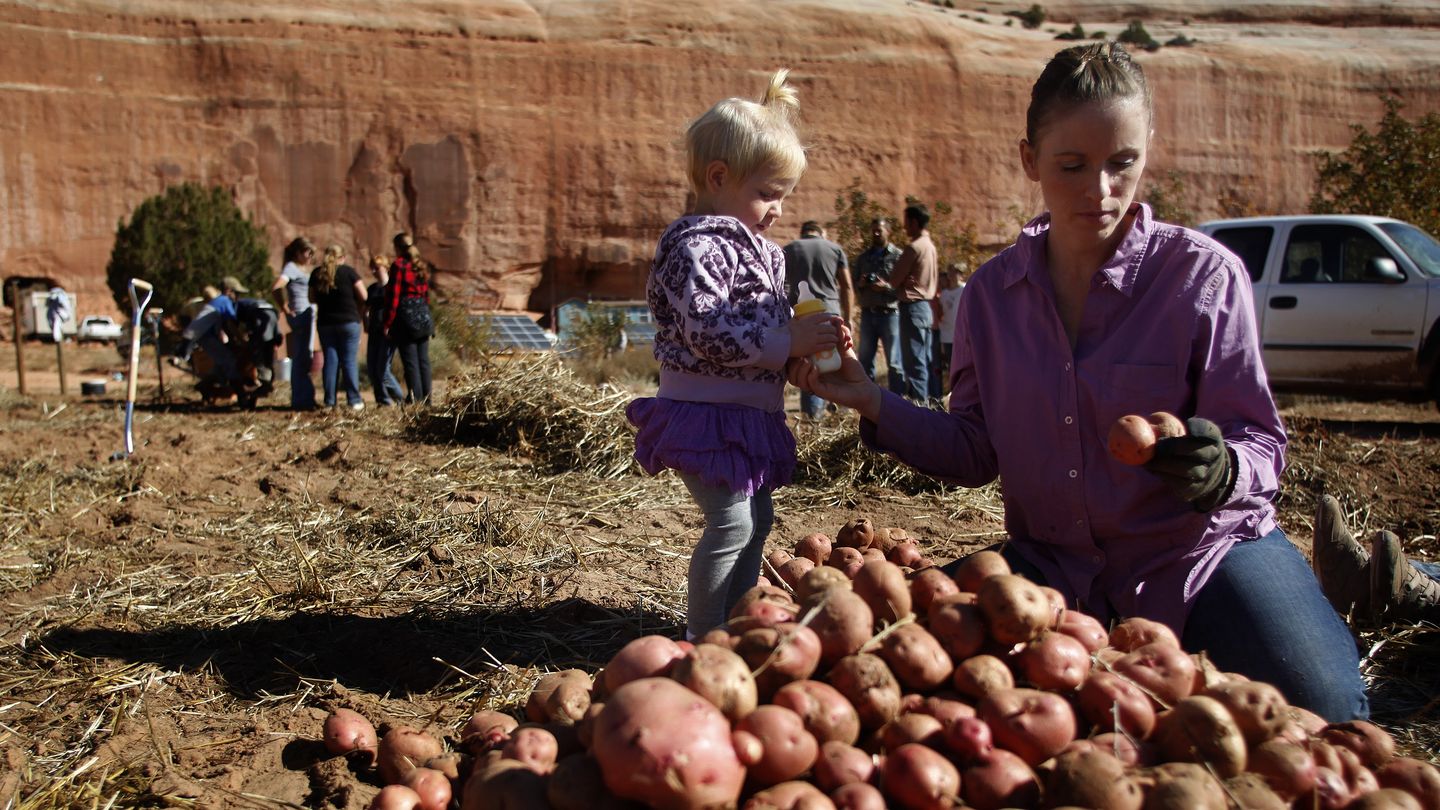 Suzanne Morrison recoge patatas con una de sus hijas en Rockland Ranch, Utah. (Reuters)