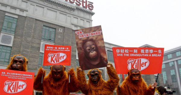Foto: Greenpeace reclamó a Nestlé que deje de comprar aceite de palma de un proveedor acusado de destruir bosques. (EFE)