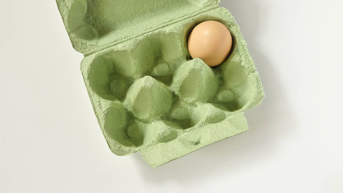 4 formas útiles y divertidas de reutilizar los cartones de huevos que te sobran 