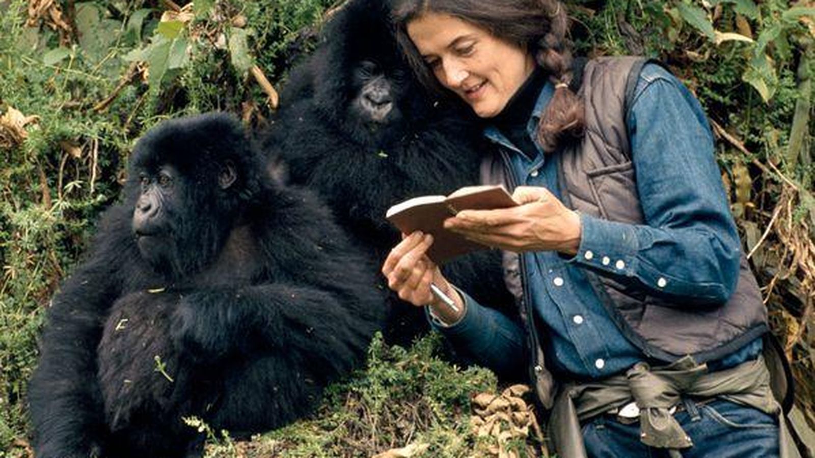 Foto: Dian Fossey fue asesinada en Ruanda en 1985