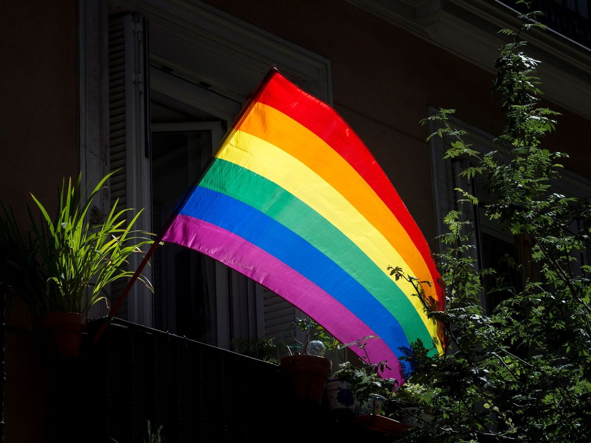 Foto: Una bandera arcoíris en una fotografía de archivo. (EFE/Luca Piergiovanni)