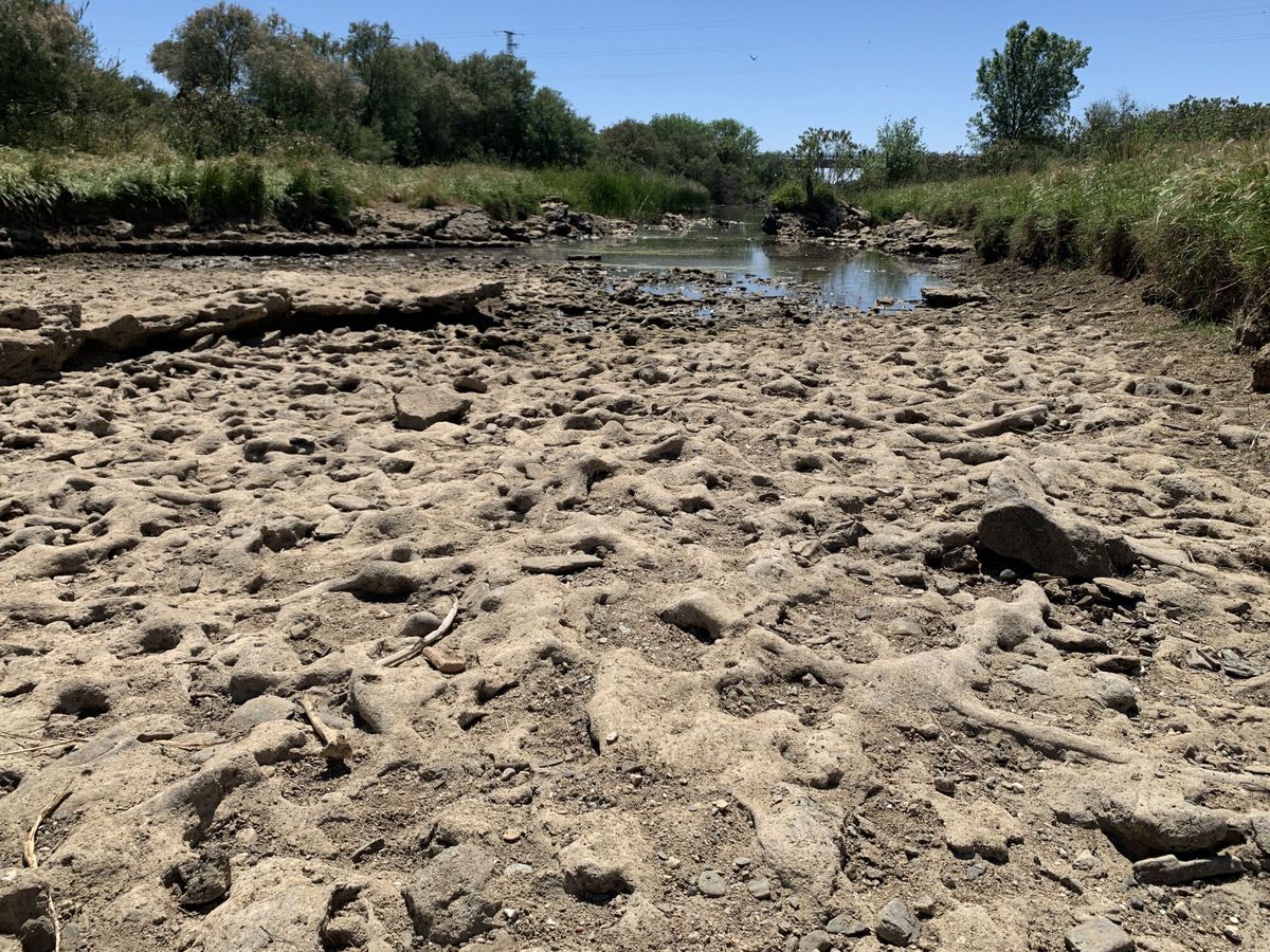 Foto: La sequía deja ver tramos del lecho del Guadiamar, el río que provee a Doñana. (EFE/Fermín Cabanillas)