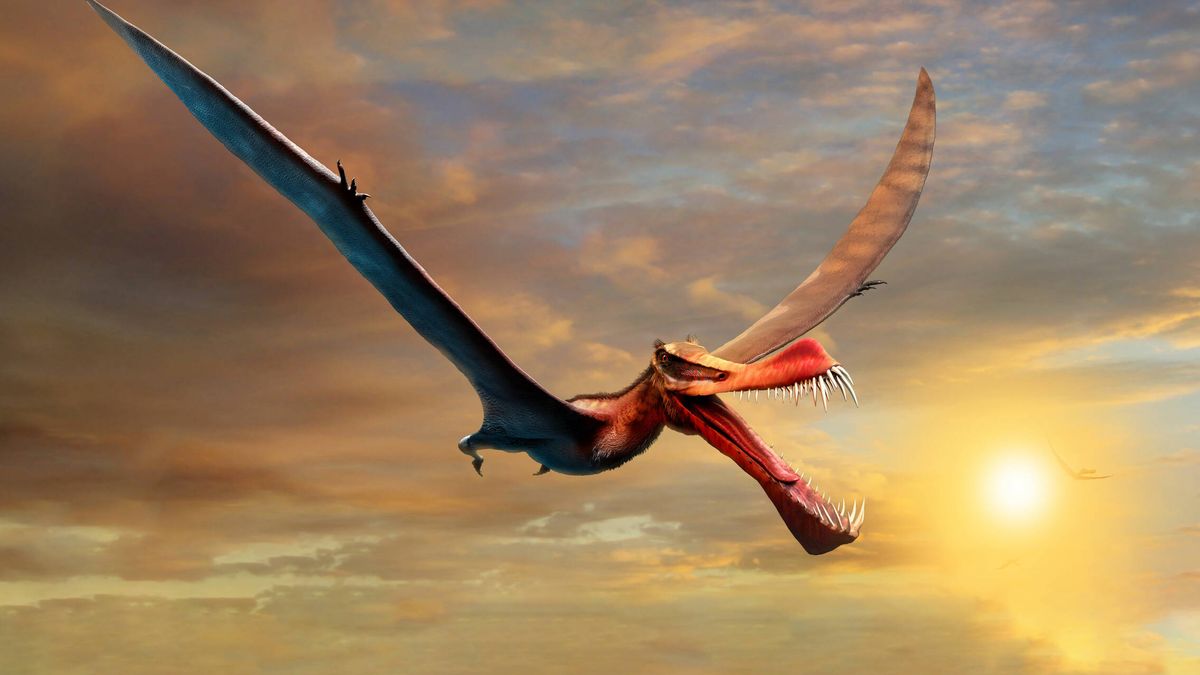 "Un temible dragón": encuentran en Australia los restos de un dinosaurio gigante volador 
