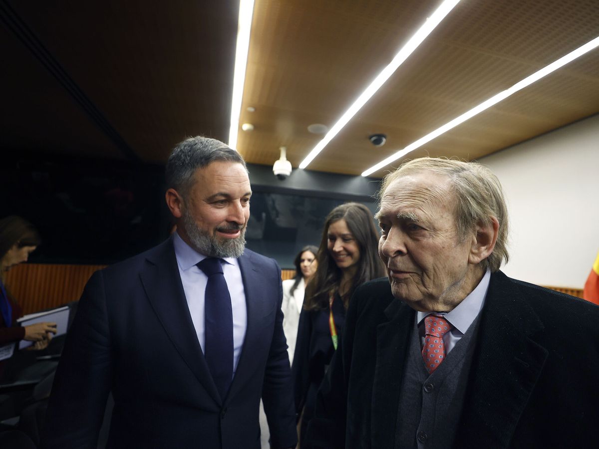 Foto: Santiago Abascal y Ramón Tamames, el jueves en el Congreso. (EFE/Javier Lizón)