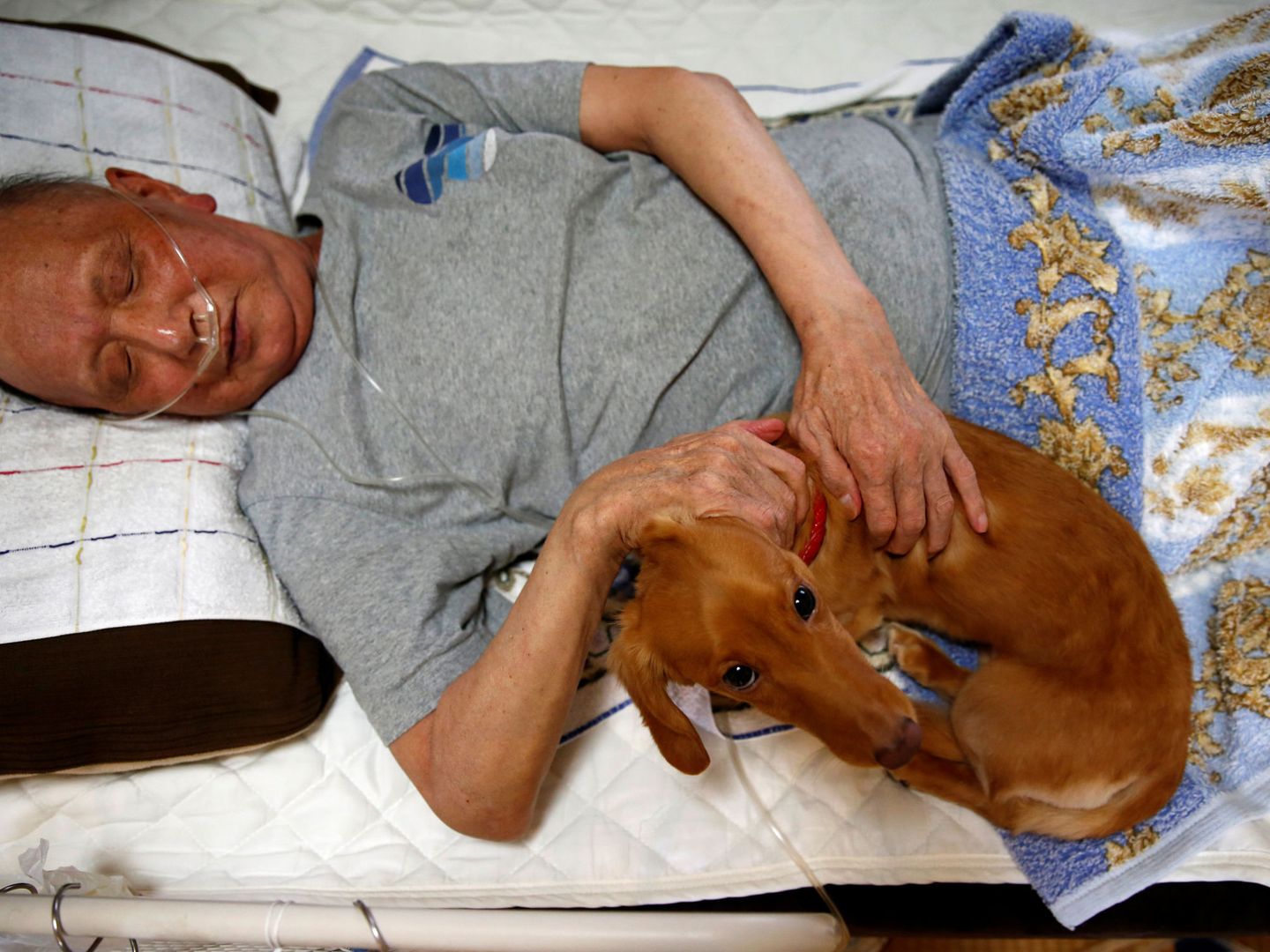 Las personas enfermas también aprovechan los beneficios de dormir con perros (Reuters/Kim Kyung-Hoon)