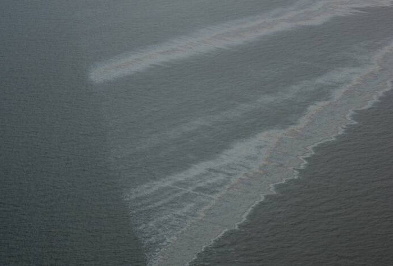 Manchas de aceite y petróleo en la costa caribeña de EEUU. (Ian MacDonald, Florida State University)