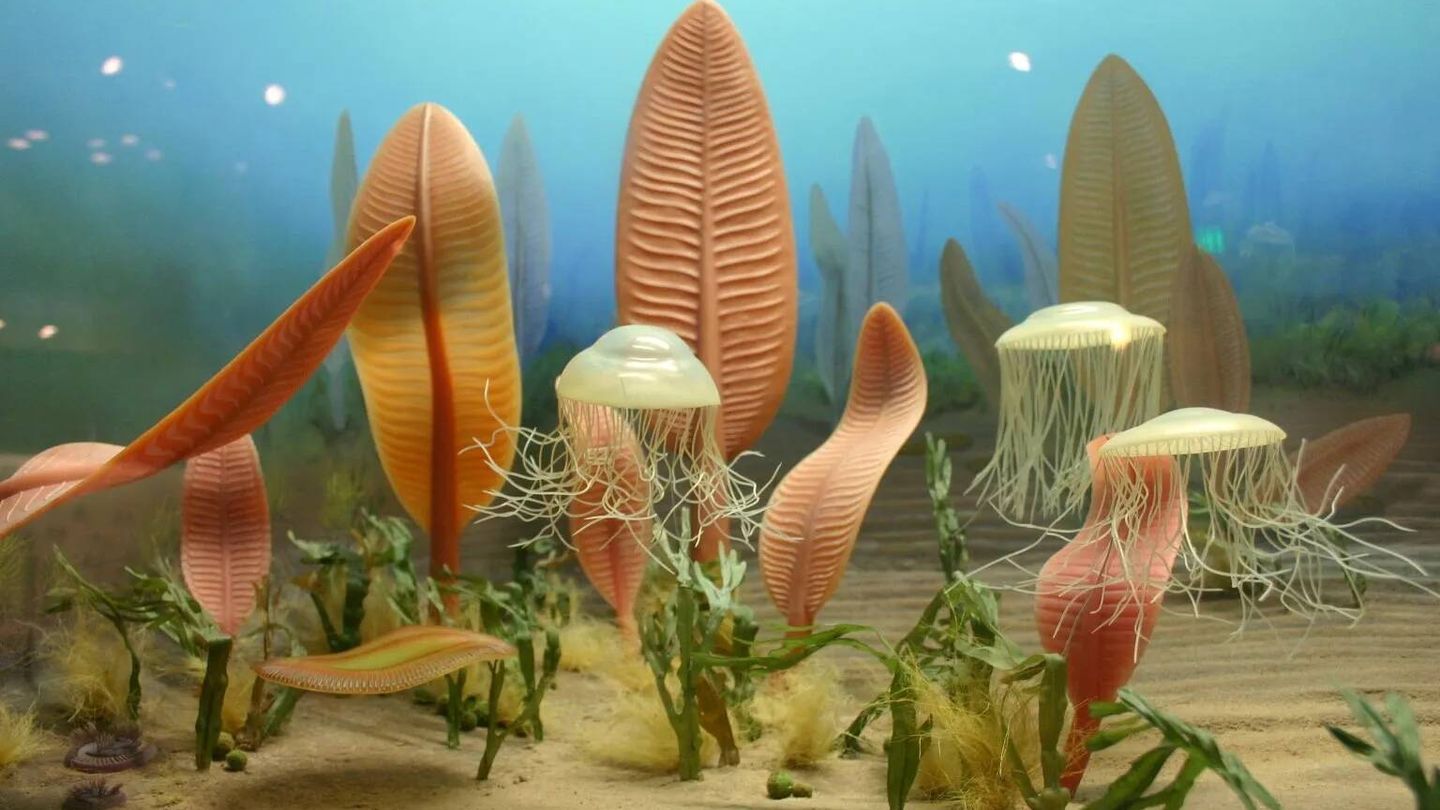 Diorama de la antigua vida marina del período ediacárico. (Smithsonian)