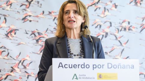 Teresa Ribera excluye de las ayudas de Doñana a los regantes ilegales hasta que se regularicen