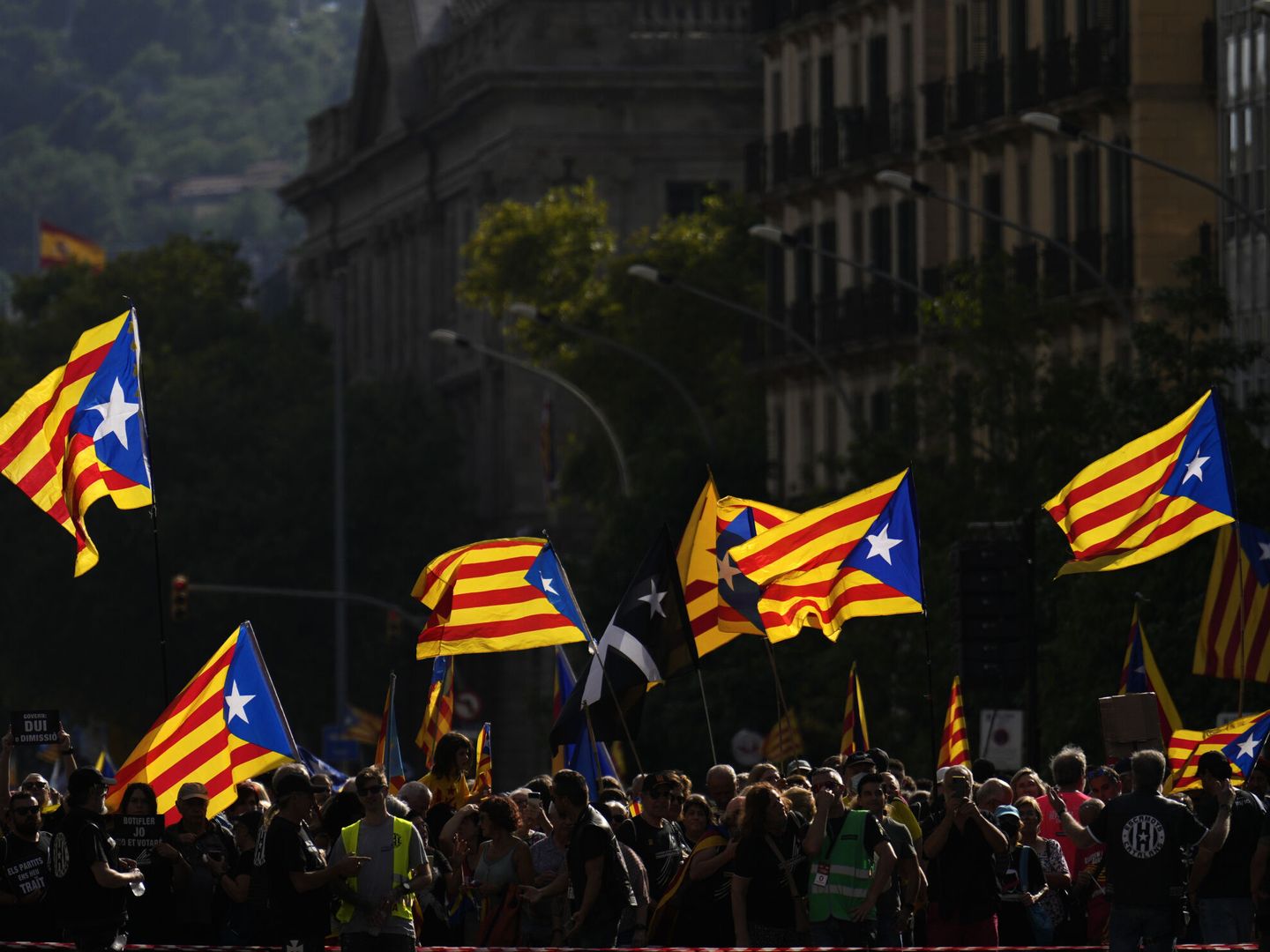 Manifestación de la Asamblea Nacional Catalana (ANC) con motivo de la Diada del 11 de septiembre. (EFE/Alejandro García)