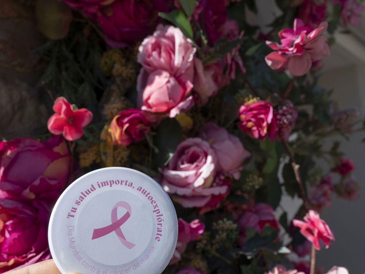Foto: ¿Por qué se utiliza un lazo rosa como símbolo para visibilizar el cáncer de mama cada 19 de octubre? (EFE/Pedro Puente)