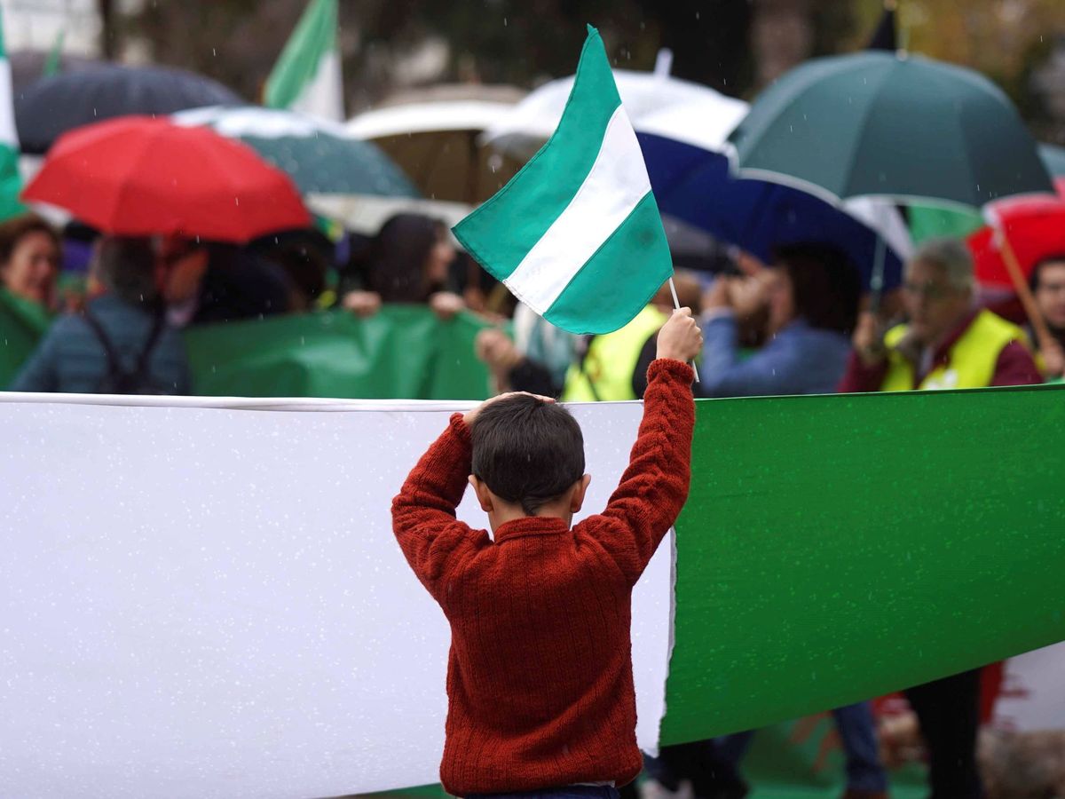 Foto: Un niño hace ondear una bandera con los colores de Andalucía. (EFE)