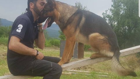 Muere envenenado Kaos, el perro 'héroe' del terremoto de Italia de 2016