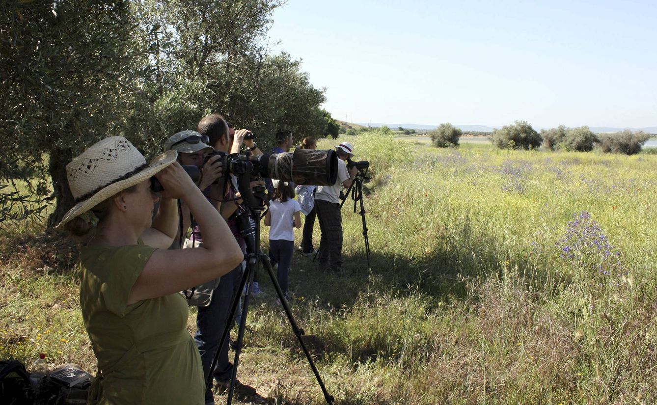 Turistas observando aves en plena naturaleza (EFE/Beldad)