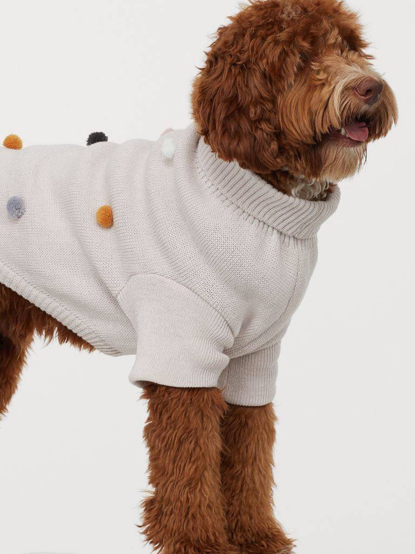 Un jersey para perros de HyM. (Cortesía)