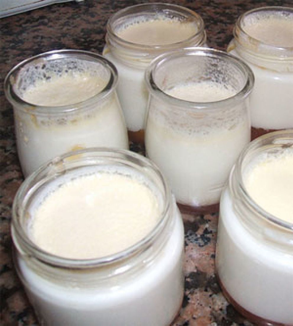 Foto: El alivio del malestar digestivo se encuentra en la leche fermentada con propiedades probióticas