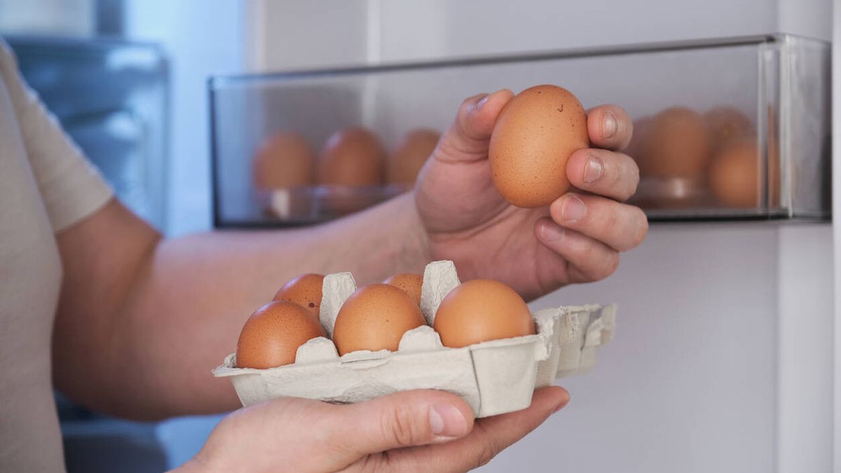 ¿Puedo congelar los huevos para que no se estropeen? Esto es lo que dice la ciencia