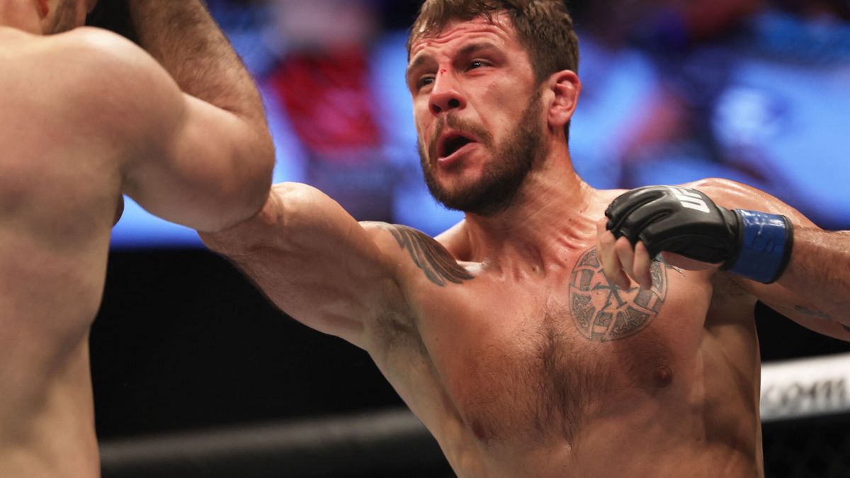 UFC Fight Night Krylov vs Spann: horario y cómo ver en España