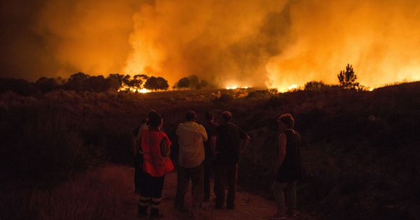Foto: El incendio de Verín ya ha llegado a Castilla y León. (EFE)