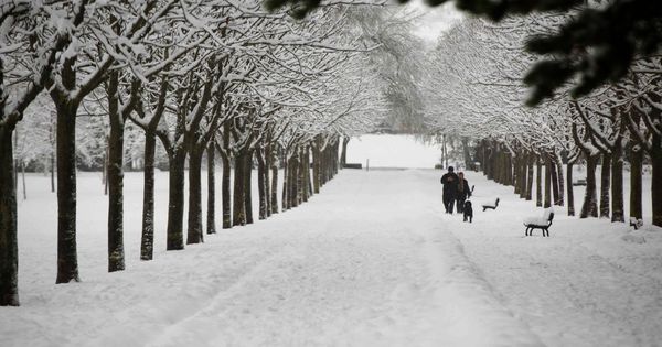 Foto: Temporal de nieve en Vitoria. (EFE)