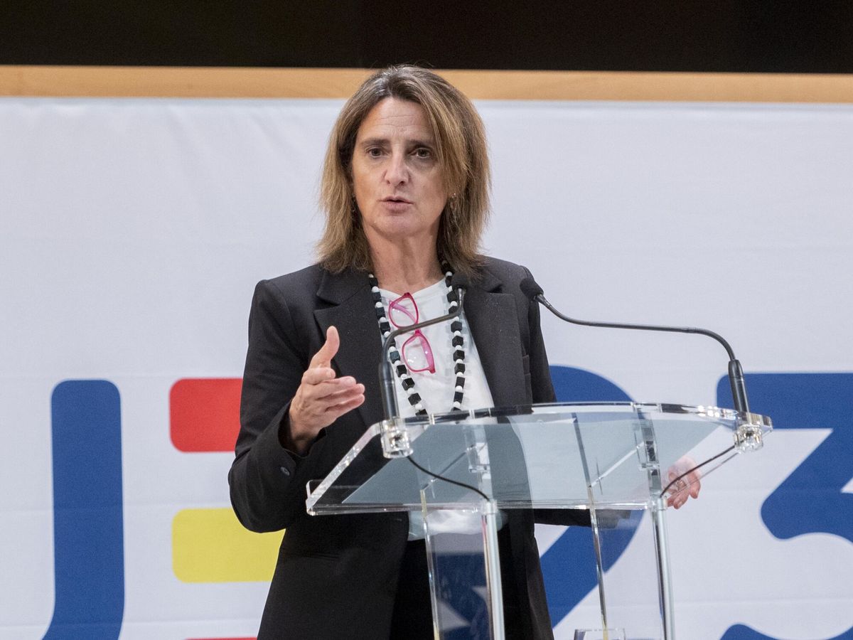 Foto: La ministra de Transición Ecológica, Teresa Ribera. (Europa Press/Alberto Ortega)