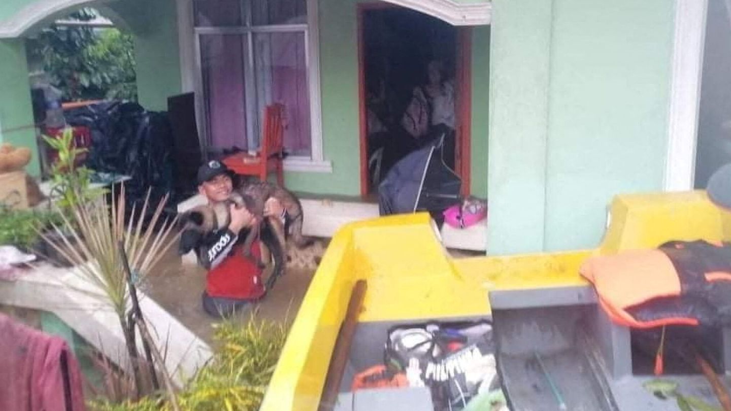 Rescate de un perro en una casa inundada en Filipinas. (EFE)
