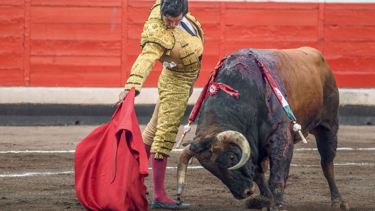 "Estás gordo": el torero Morante de la Puebla paraliza una corrida de toros en Bilbao ante insultos