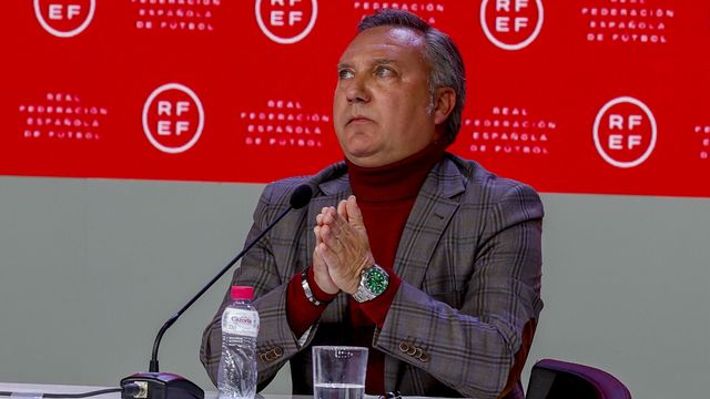 Luis Medina Cantalejo en rueda de prensa. (EFE/J. J. Guillén)