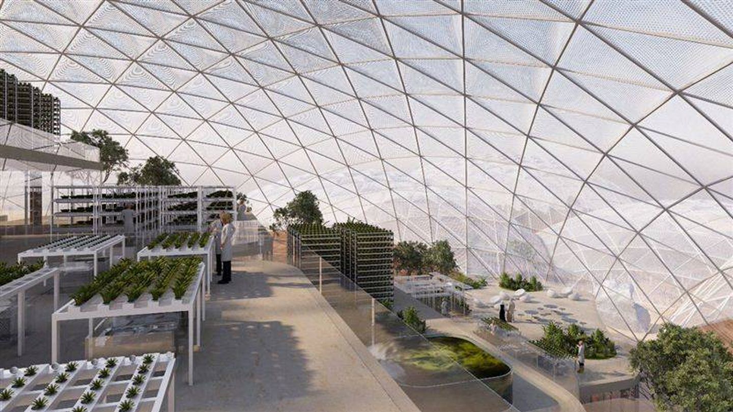 Así serán los invernaderos que se diseñarán en Dubái. (Foto: Dubái)