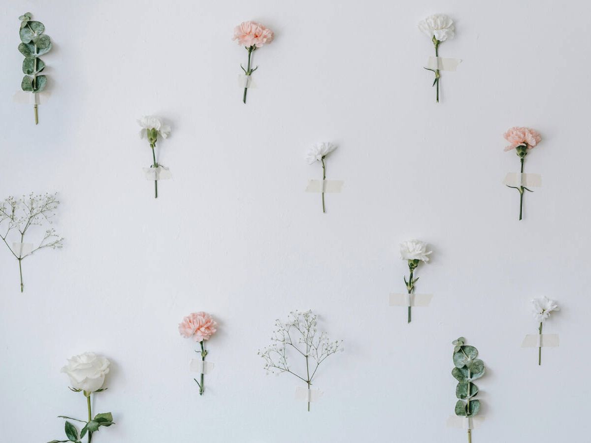Foto: Algunas notas florales son típicas de la primavera. (Pexels/Teona Swift)