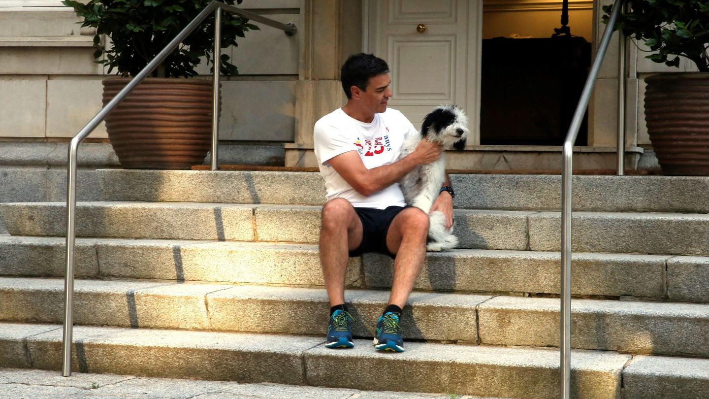 Pedro Sánchez, haciendo mimos a su perra Turca, en la escalinata de La Moncloa, este lunes. (EFE)