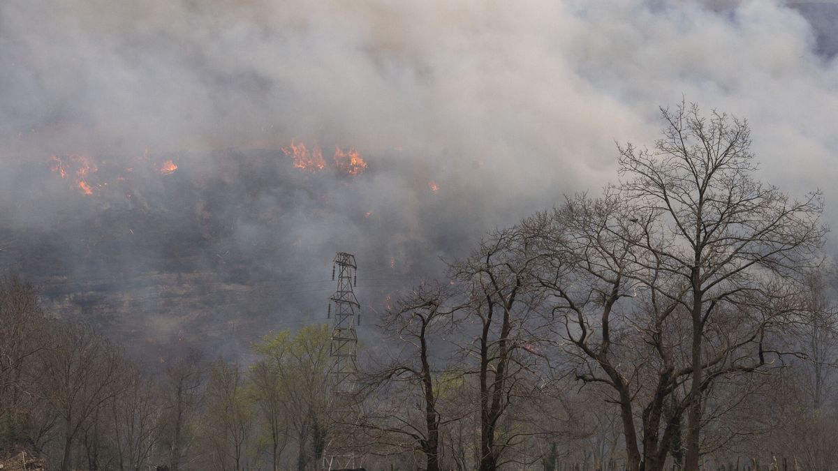 Fundación Artemisan alerta de que el "exceso de proteccionismo" aumenta el riesgo de incendios
