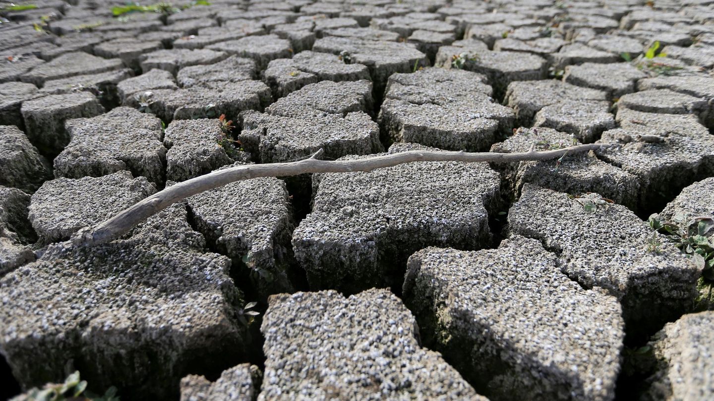 Buena parte de la mitad sur peninsular entra en emergencia por sequía (EFE) 
