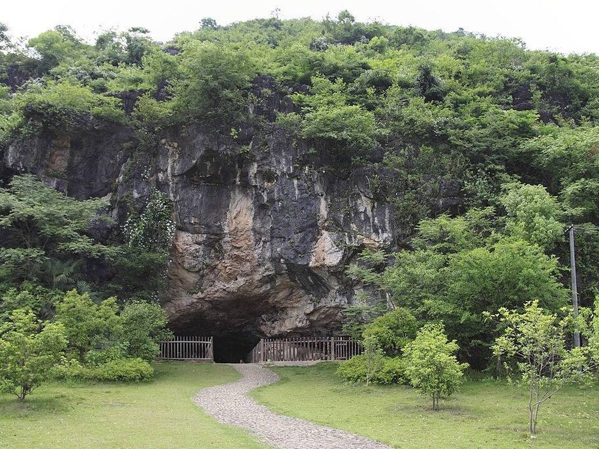Foto: Investigadores de Harvard descubren un "pueblo fantasma" en la cueva de Shum Laka. (CC/Wikimedia Commons)
