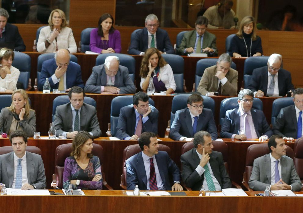 Foto: Pleno ordinario de la Asamblea de Madrid. (EFE)