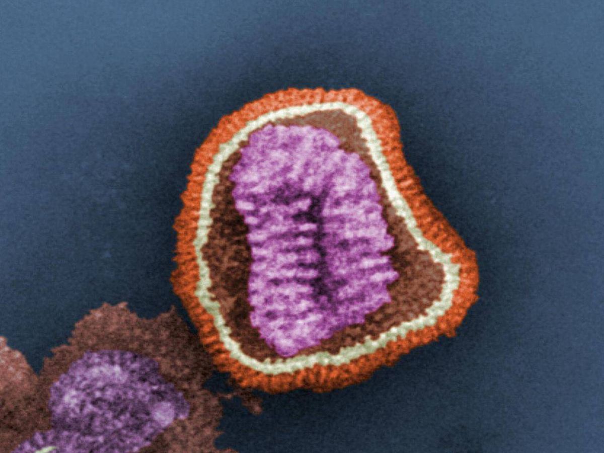 Foto: Virus de la gripe