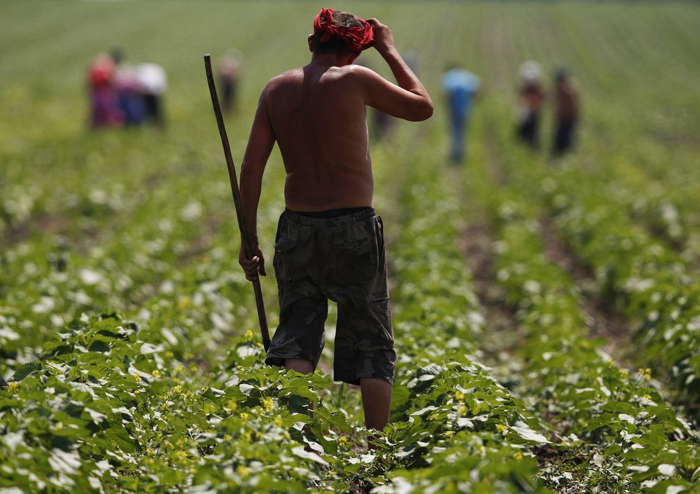 Foto: Un granjero ucraniano trabaja en un campo cercano al pueblo de Kostyantynivka, en Donétsk (Reuters).