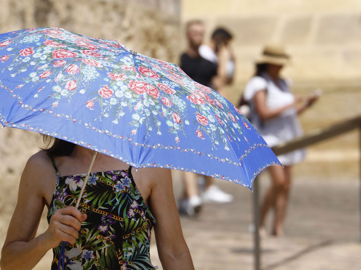 Foto: Mujer cubriéndose del sol con un paraguas. (EFE/Salas)