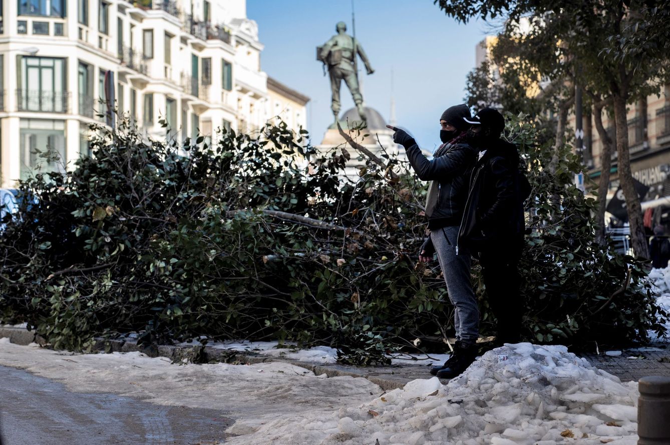 Dos personas, junto a un árbol caído en Madrid. 