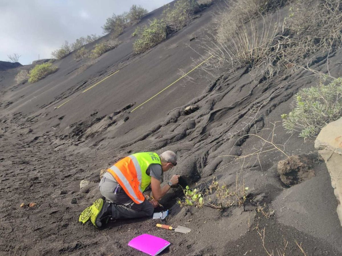 Foto: Un investigador del Instituto Geológico y Minero de España tomando muestras de ceniza del volcán. (EFE/IGME)